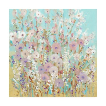 Tim O'Toole 'Mixed Flowers I' Canvas Art,18x18